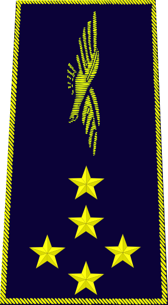 ملف:French Air Force-général d'armée aérienne.svg