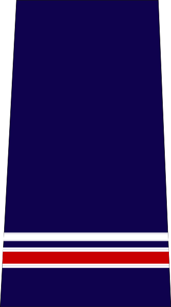 ملف:Police nationale-Brigadier major.svg