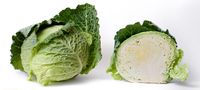 A white cabbage, whole and in longitudinal section