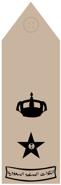 ملف:MUQADDAM (Field uniforms).png