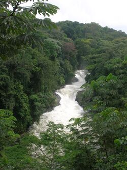 Kwa Falls, a waterfall along the Kwa River