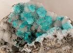 Aurichalcite79 Mine.jpg