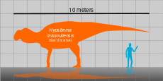 Hypsibema missouriensis Size Chart.svg