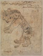 11th-12th century illustration of lion from lost bestiary, Fustat, Metropolitan Museum of Art