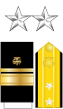 The collar stars, shoulder boards, and sleeve stripes of a U.S. Public Health Service Commissioned Corps rear admiral
