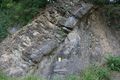 The "Taconic Unconformity" near Catskill, NY. This angular unconformity separates the Austin Glen Formation (Ordovician) from the overlying Rondout Formation (Silurian) and Manlius Formation (Devonian)