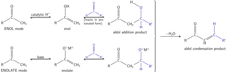 A generalized view of the Aldol reaction