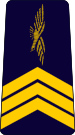 French Air Force-sergeant-chef.svg