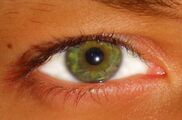 Green Eye.jpg