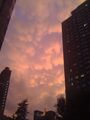 Mammatus clouds over New York City, 2009