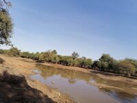 Mare d'Ounsolo ou N'Solo de Téra (Tillabéri) 03.jpg