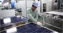 الصين تصدر ألواح الطاقة الشمسية للسوق الأمريكية بأسعار زهيدة.