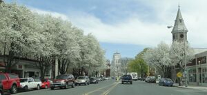 منظر الشارع الرئيسي في الربيع