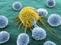 Lymphocytes attacking cancer cell.jpg