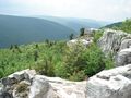 Dolly Sods Wilderness, West Virginia: View from atop Breathed Mountain