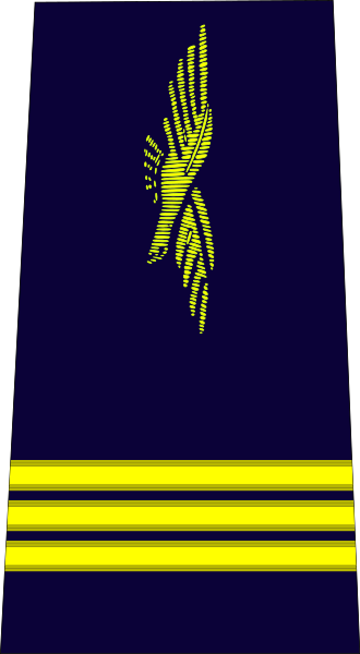 ملف:French Air Force-capitaine.svg
