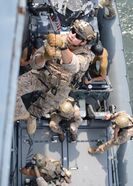SEALs climb a caving ladder during a VBSS training