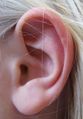 Left ear