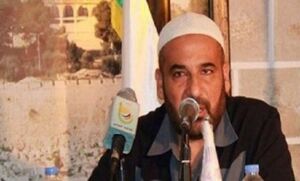 محلات التوحيد والنور