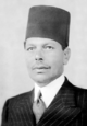 Muhammad Mahmoud Pasha.PNG