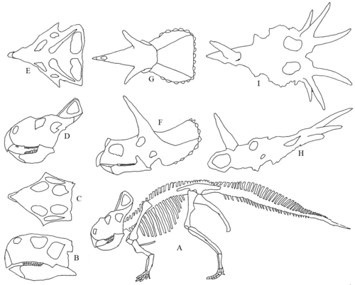 Ceratops.gif