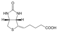 Biotin or vitamin B7