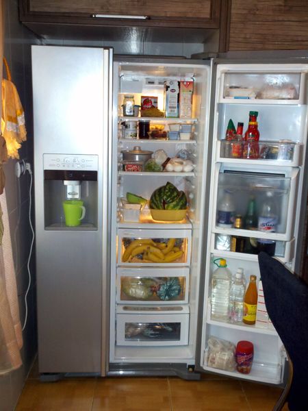 ملف:LG refrigerator interior.jpg