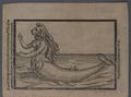 'A most strange and true report of a monstrous fish' Illustration from an early printed report of a Mermaid sighting. 1604