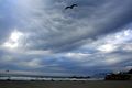 Mammatus Clouds over the Pacific Coast San Francisco