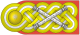Rank insignia of Generalfeldmarschall of the Wehrmacht.svg