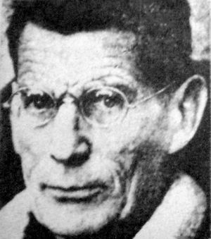 Louis le Brocquy, Image of Samuel Beckett (detail), 1979, oil on canvas, 80 x 80 cm