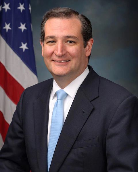ملف:Ted Cruz, official portrait, 113th Congress.jpg