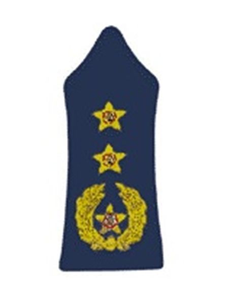 ملف:Lebanese-army-insignia-Colonel.jpg