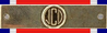 Ribbon - John Chard Decoration & Clasp.png