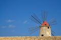 Windmill of the Salina
