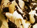 Chocolate Chip Ice Cream 01.jpg