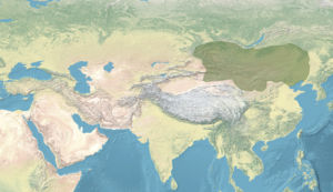 Map of the Eastern Turkic Khaganate.png