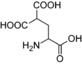 Carboxyglutamic acid. Whereas glutamic acid possess one γ-carboxyl group, Carboxyglutamic acid possess two.