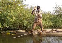 Waving fisherman on Lake Chad (detilt).jpg
