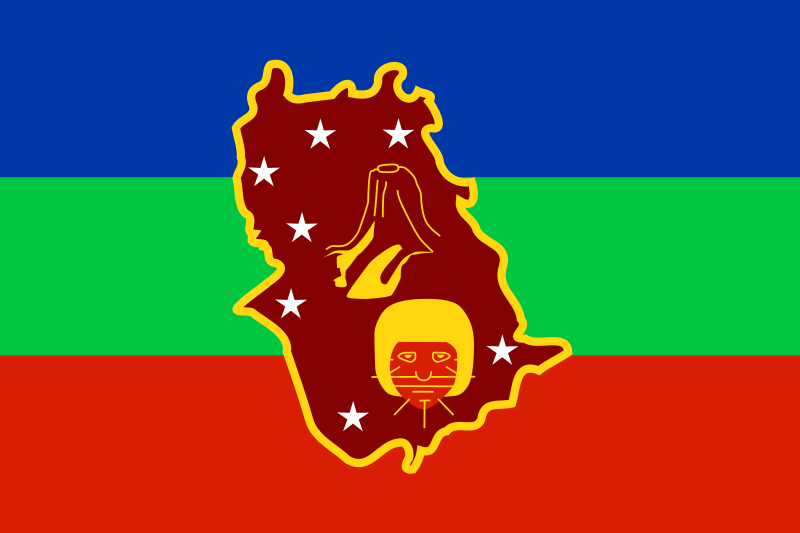 ملف:Flag of Amazonas State.svg