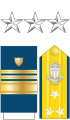 The collar stars, shoulder boards, and sleeve stripes of a United States Coast Guard vice admiral