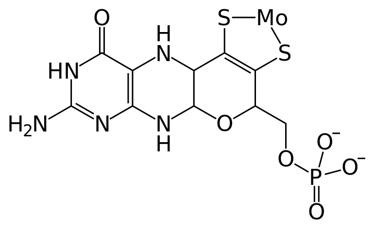 ملف:Molybdopterin.svg
