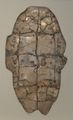 Tortoise plastron with divination inscription dating to the reign of King Wu Ding
