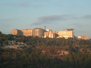 Hadassa ein karem.jpg