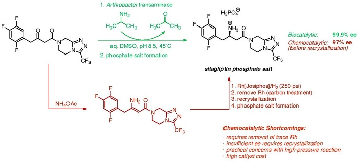 Comparison of the chemosynthetic and biosynthetic routes toward sitagliptin.