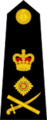 General (UK Royal Marines)