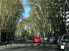 Street in spring