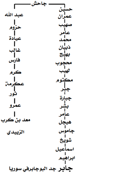 ملف:شجرة البوجابر.png