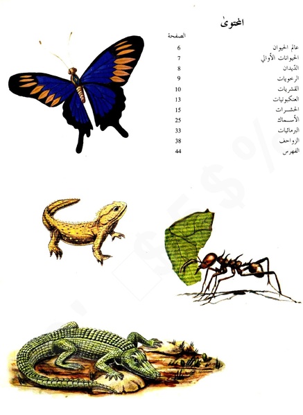 ملف:Animals world1.pdf