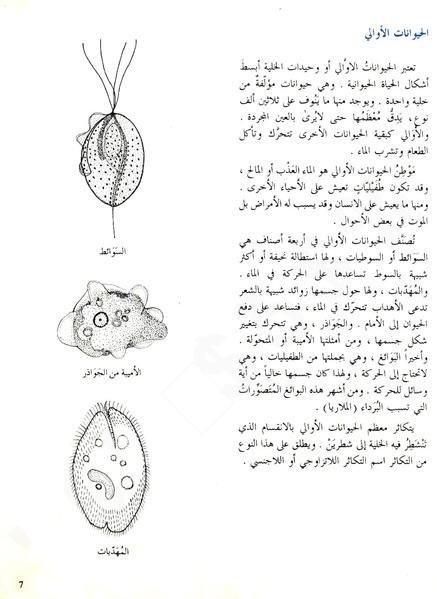 ملف:Animals world1.pdf